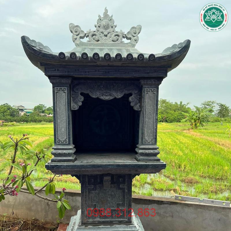 Cây Hương Đá CHD11